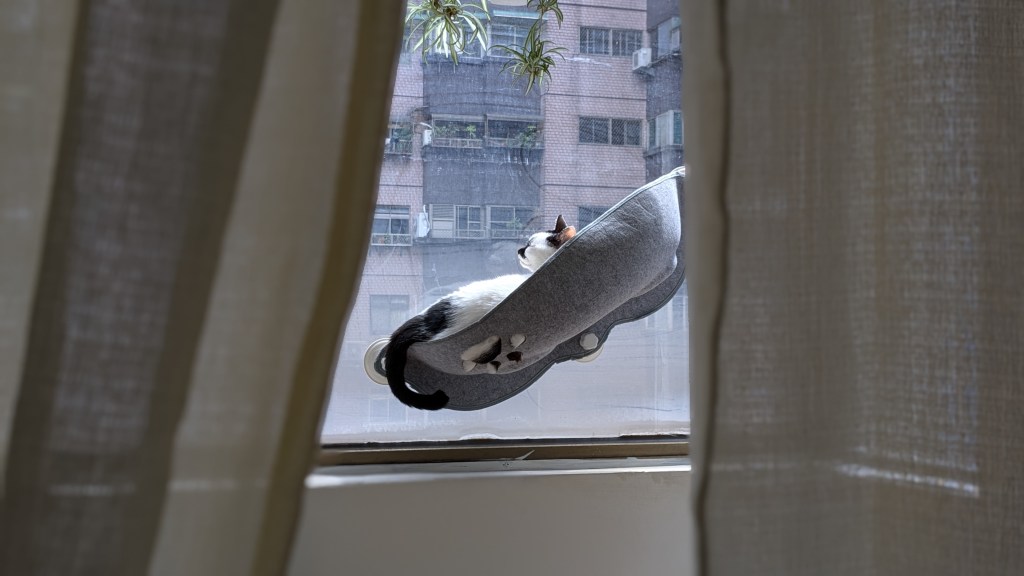 紫微命盤與催眠療癒：看見被否定的自己，重建安全感與自我價值感