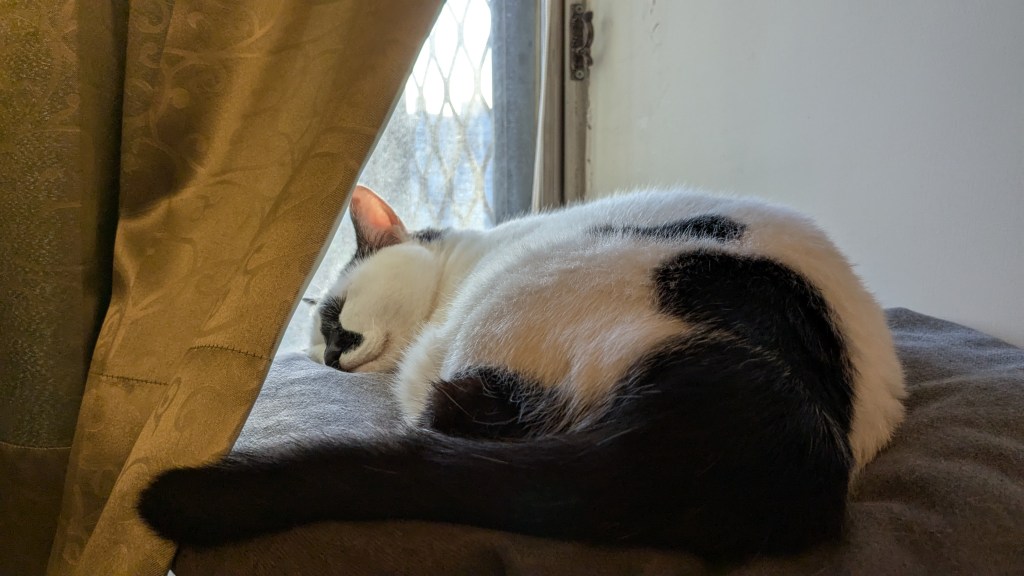 我的原生家庭（１）那個我曾以為會恨一輩子的人，大哥上篇