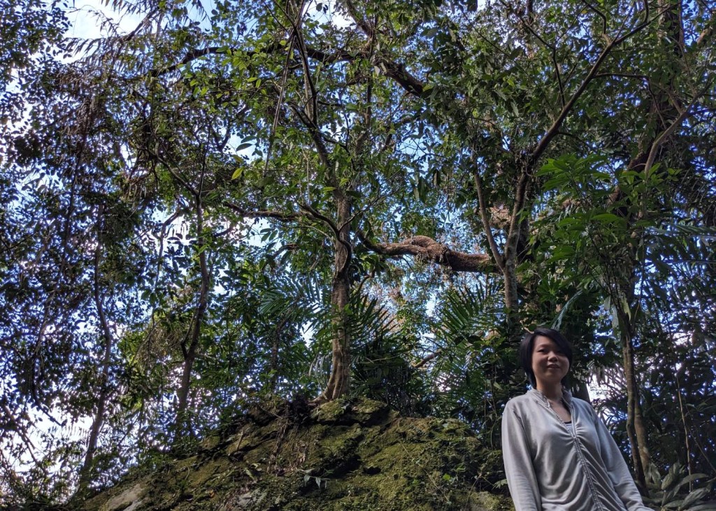 我的原生家庭（１３）性侵我的父親下篇