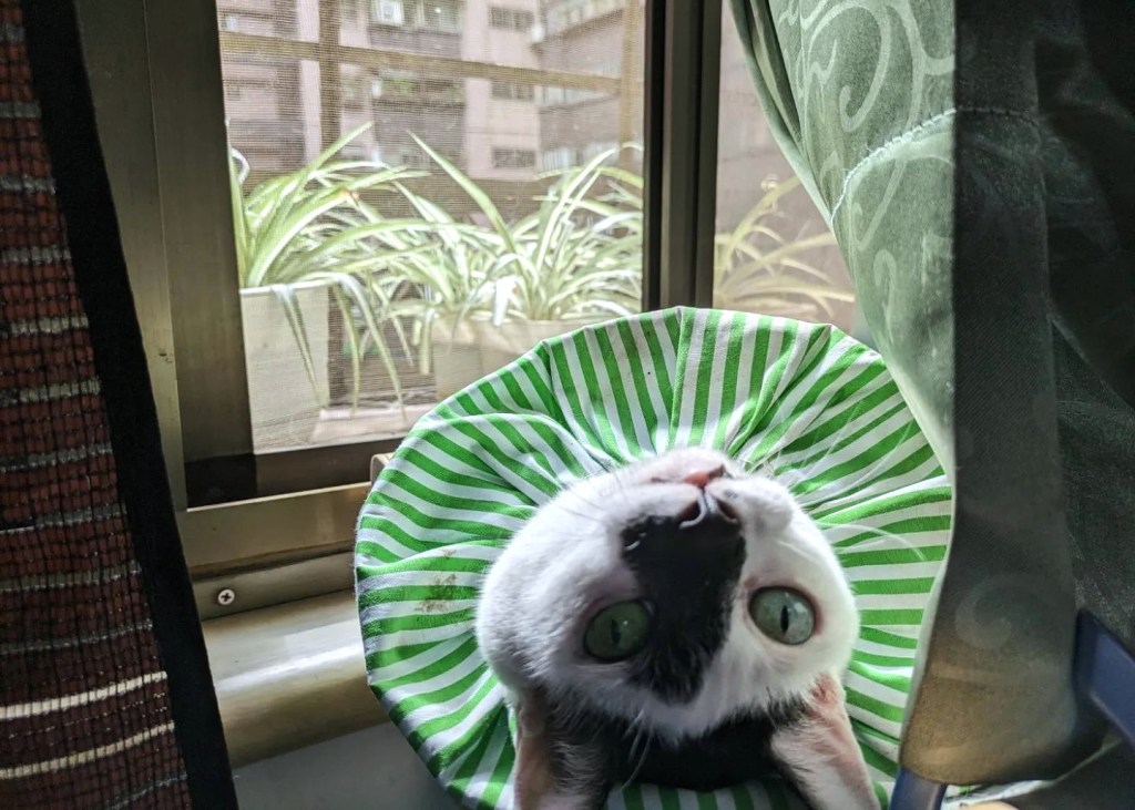 我的原生家庭（５）那個教會我絕望的人，阿姨中篇