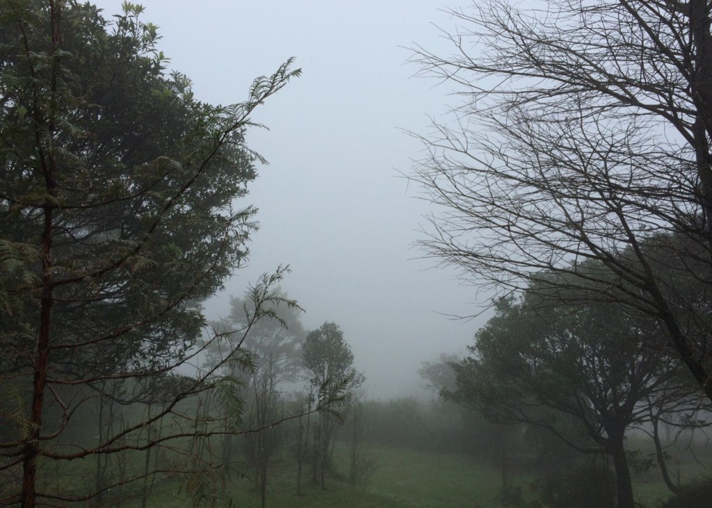 我的原生家庭（９）番外篇：性創傷的序曲