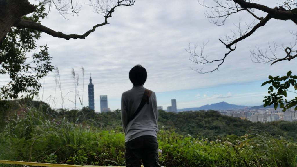 我的原生家庭（１１）傳統女性的悲歌，大媽下篇