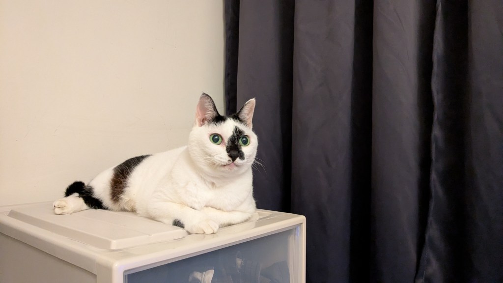 別再怪動漫了，那是時代的求救訊號