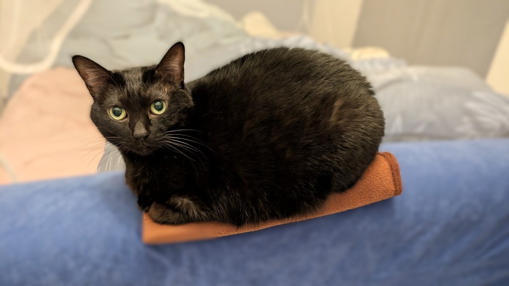 催眠是重塑潛意識與情緒系統。 當現實被性格、恐傷與恐懼過濾，透過催眠覺察情緒背後的深層需求（如肯定、接納），將系統從防衛切換至成長模式。向內看見自己，從源頭改變命運與生命。