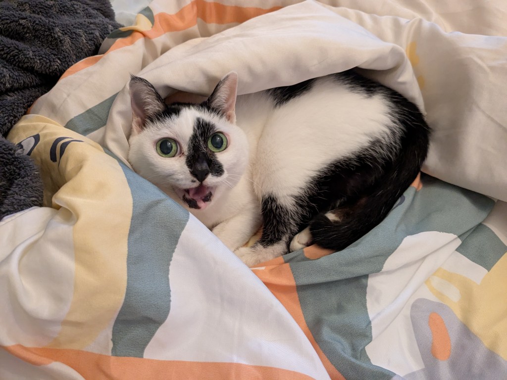 「過度幫助」本質是主體剝奪,否定他人解決問題的能力。缺乏界線的包容會降低行惡成本,使關係失衡引發防衛與仇視。真正的助人是賦能,守住倫理與界線,將成長主動權還給對方。