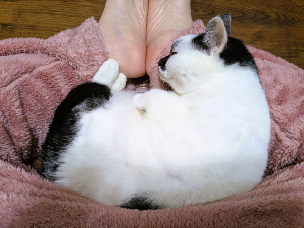 為什麼乖孩子長大後，心卻空了？